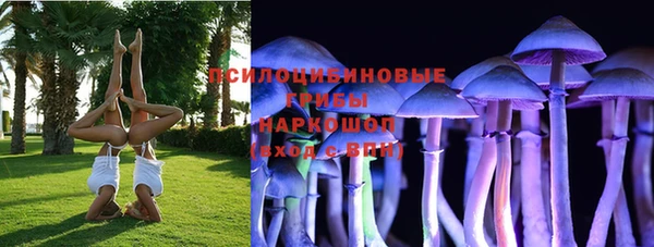 тгк Кукмор