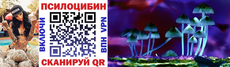 МЕГА   Нерчинск  Галлюциногенные грибы Psilocybe 
